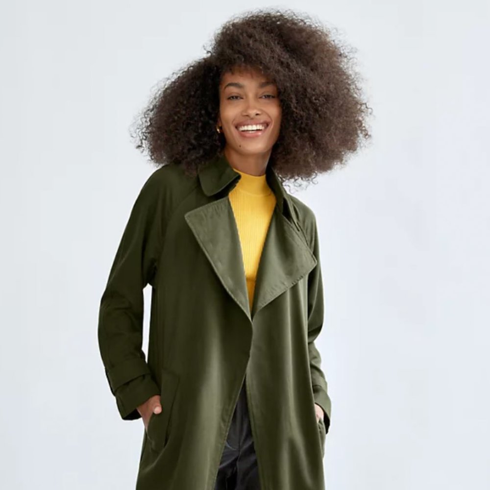 Babaton (Aritzia) Lawson Trench Coat